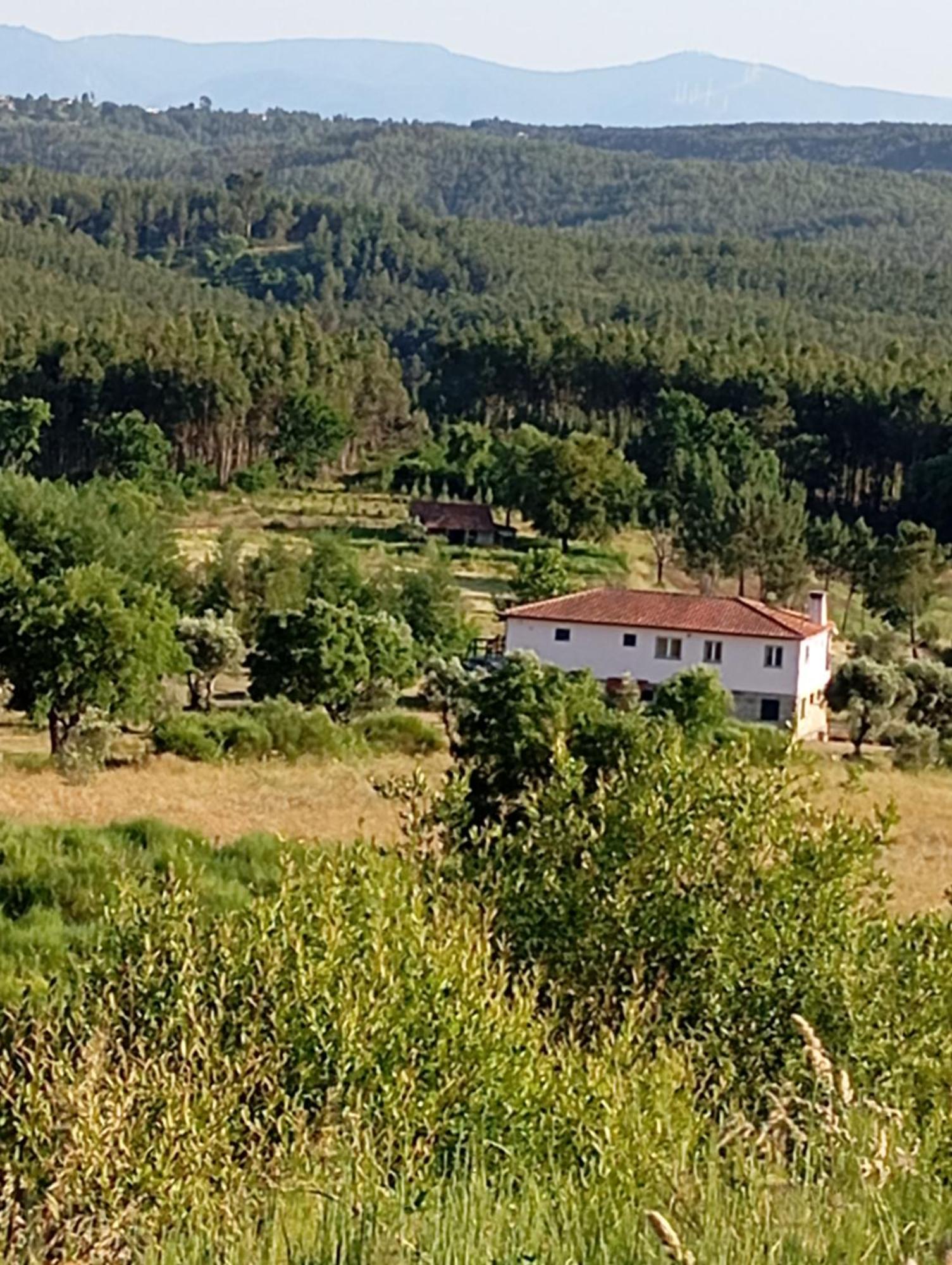 Bed and Breakfast Quinta Da Barroca Do Cabo Ázere Exteriér fotografie